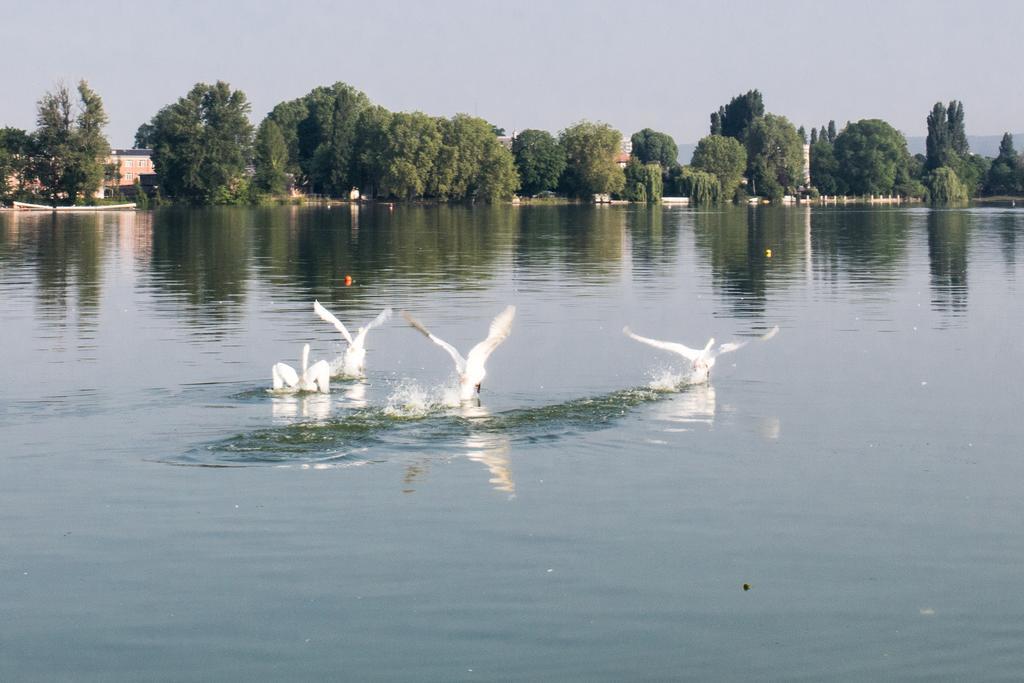 Hotel Barriere L'Hotel Du Lac Enghien-les-Bains Dış mekan fotoğraf